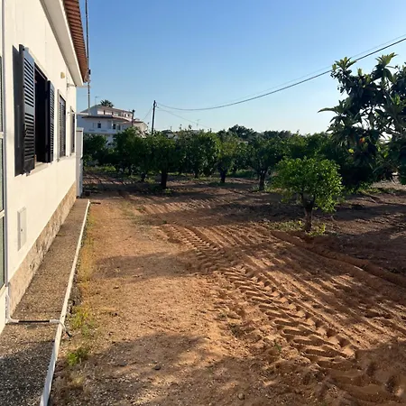 Casa Corvinhos アルチュラ