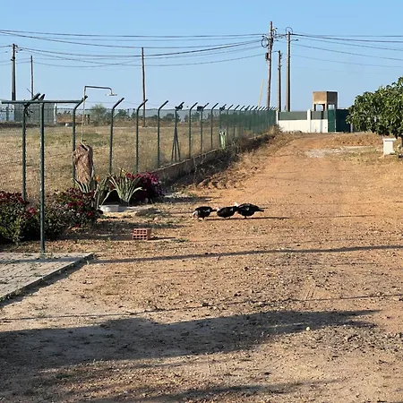 Casa Corvinhos *